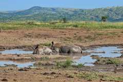 Unterwegs im  Hluhluwe iMfolozi Park