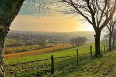 Schwaney im Naturpark südl.Teutoburger Wald / Eggegebirge