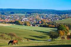 Schwaney im Naturpark südl.Teutoburger Wald / Eggegebirge