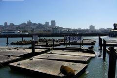 San FRancisco