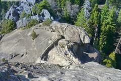 Sequoia NP