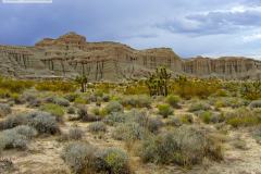 Red Rock's