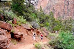 Zion NP