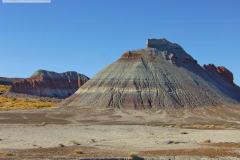 Petrified Forest
