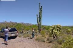 Apache Trail