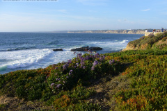 La Jolla