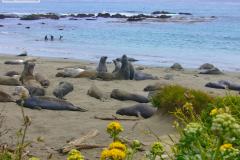 Big Sur, Highway California 1
