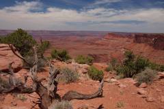 Canyonlands