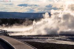 Yellowstone Nationalpark