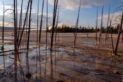 Yellowstone Nationalpark