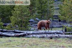 Yellowstone Nationalpark