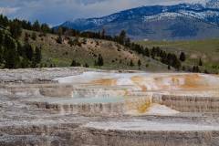 Yellowstone Nationalpark