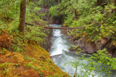 Little Qualicum Falls, Vancouver Island - Kanada