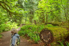MacMillan Park, Vancouver Island - Kanada