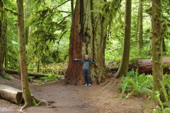 MacMillan Park, Vancouver Island - Kanada