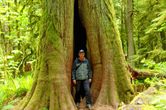 MacMillan Park, Vancouver Island - Kanada