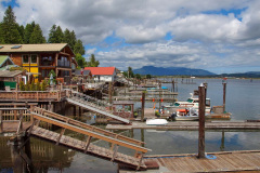 Whale Watching Vancouver Island