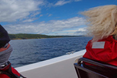 Whale Watching Vancouver Island