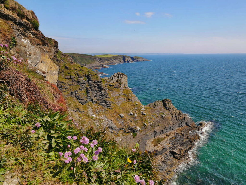 Old Head of Kinsale Cliffs